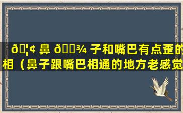 🦢 鼻 🌾 子和嘴巴有点歪的面相（鼻子跟嘴巴相通的地方老感觉有痰怎么办）